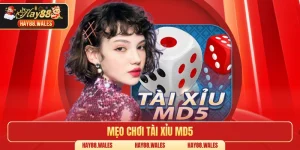 Mẹo chơi tài xỉu MD5